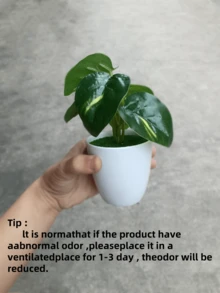 1 cái/bộ cây xanh nhân tạo bằng nhựa, cây mọng nước giả mini trang trí để bàn cho văn phòng, phòng khách - Nhiều màu - Xem 3