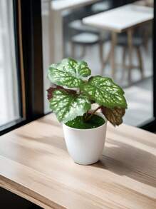 1 cái/bộ cây xanh nhân tạo bằng nhựa, cây mọng nước giả mini trang trí để bàn cho văn phòng, phòng khách - Nhiều màu - Xem 15