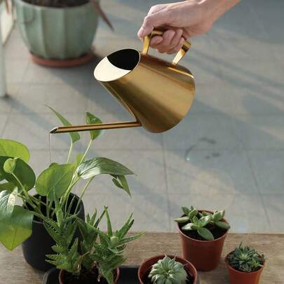  Futchoy 1500ml in acciaio inossidabile Lunga bocca annaffiatoio Metallo dorato Piccolo fiore annaffiatoio Annaffiatoio per interni Fiore Vaso Irrigatore per ufficio Piante da giardino Indoor Outdoor