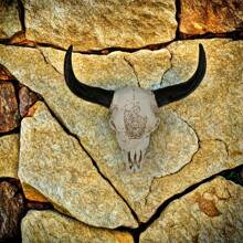 1 件时尚树脂鹿头骨墙饰，适合室内和室外，完美的感恩节礼物 - 彩色 - 查看 6