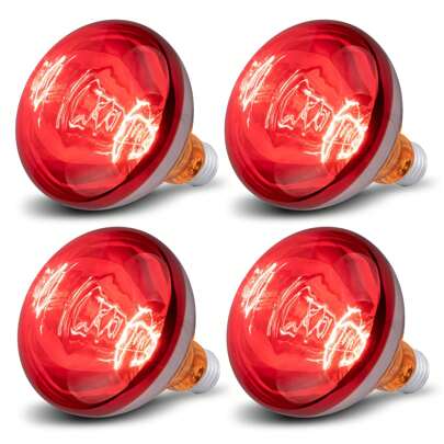 2 Packs 250 Watts Heat Lamp Bulbs, R125 Brooder Heat Lamp For Chickens, Reflector Heat Bulbs For Brooder Heater, Incandescent Heating Bulb For Pet, Light Therapy, Bathroom, Food