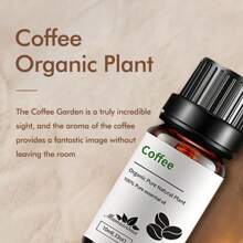 1 Stück 100% natürliches Kaffee Luftbefeuchter Aromatherapie Einzelnes ätherisches Öl, geeignet für Zuhause, Auto, Schlafzimmer, Badezimmer, Schönheitssalon, Hotelzimmer, um schlechte Gerüche zu beseitigen und den Duft von Frische und Entspannung zu verstärken, 10ml / 0,33 fl.oz