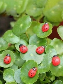10pcs/20pcs Micro Landscape Decor Wooden Craft Beetle, Ladybug, Bee DIY Accessories