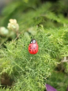 10pcs/20pcs Micro Landscape Decor Wooden Craft Beetle, Ladybug, Bee DIY Accessories