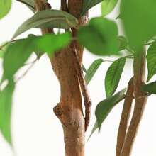 6 Feet Artificial Ficus Tree - Fake Silk Plants With Lifelike Leaves And Natural Wood Trunk - Faux Potted Tree For Indoor Home Decor