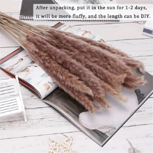 38/50/80 pezzi Decorazione in erba di Pampas naturale premium - Fiori secchi di rattan per decorazioni domestiche, matrimoni, eventi e stagioni festive (Natale, Ognissanti, Pasqua, Ringraziamento), decorazioni autunnali
