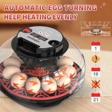 WONEEGG Egg Incubator For Hatching Chicks, Automatic Egg Turner Holds 12 Eggs, Smart Incubator 360° Clear Window With Temperature Display Egg Candler For Small Poultry Chickens Ducks Quails Eggs - US A Type Plug(110-127V) - View 5