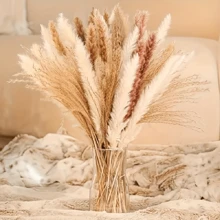 38/50/80 pezzi Decorazione in erba di Pampas naturale premium - Fiori secchi di rattan per decorazioni domestiche, matrimoni, eventi e stagioni festive (Natale, Ognissanti, Pasqua, Ringraziamento), decorazioni autunnali