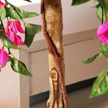 5FT Artificial Tree Tall Potted Fake Bougainvillea Trees For Outdoor Indoor Office Wedding Home Decor Lifelike Faux Plants With Wood Trunk And Pink Flowers - 綠色 - 查看 7