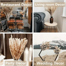 38/50/80 pezzi Decorazione in erba di Pampas naturale premium - Fiori secchi di rattan per decorazioni domestiche, matrimoni, eventi e stagioni festive (Natale, Ognissanti, Pasqua, Ringraziamento), decorazioni autunnali