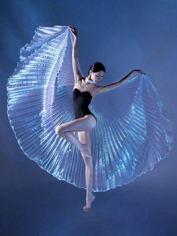 1pc Belly Dance Wings Prop, Adult Dance Stage Performance Costume Accessory