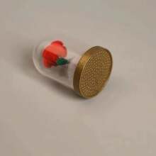 Pet Hair DIY Memorial Bottle, Cat Dog Fur Collection Bottle For Deceased Pet Memorials, DIY Storage, Cute Pet Memorial Gift