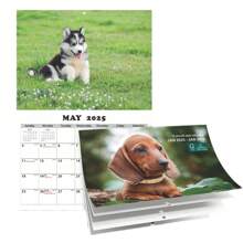 2025 狗动物风格英文日历/壁挂日历 - 彩色 - 查看 1