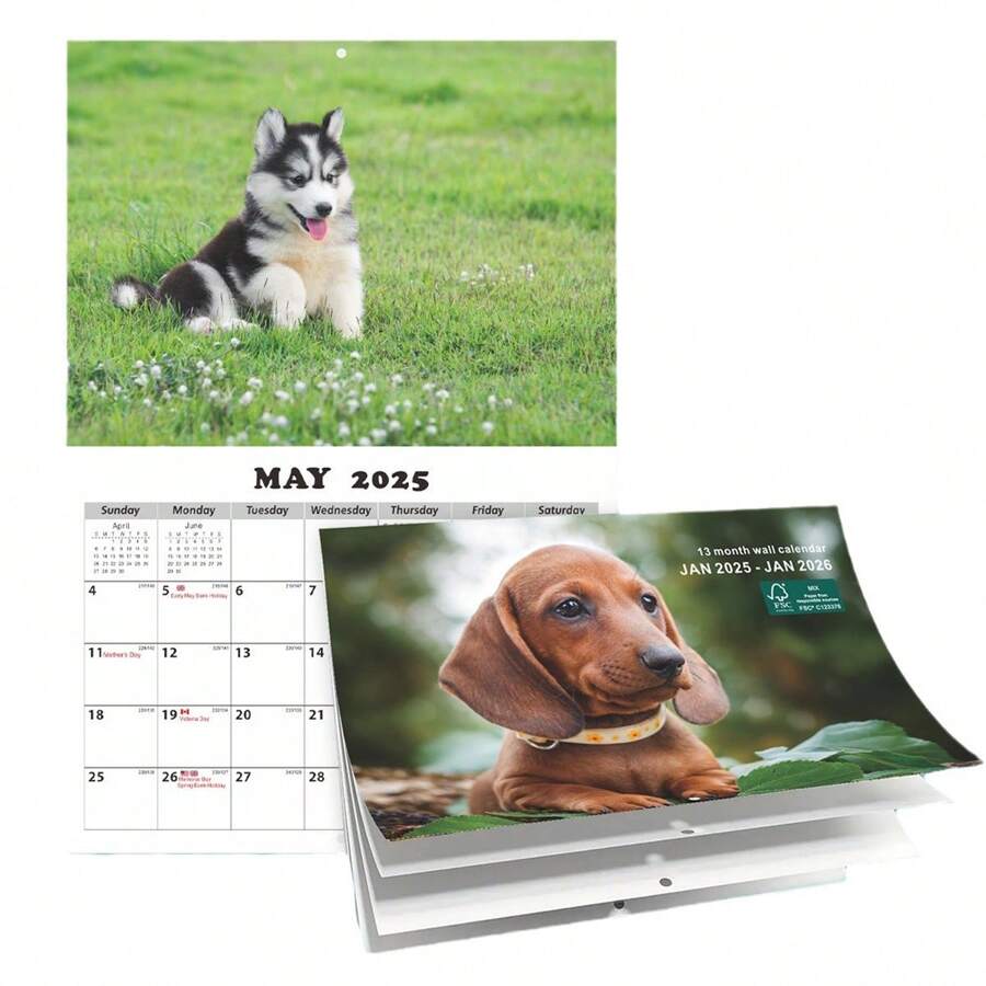 2025 狗动物风格英文日历/壁挂日历 - 彩色 - 查看 1