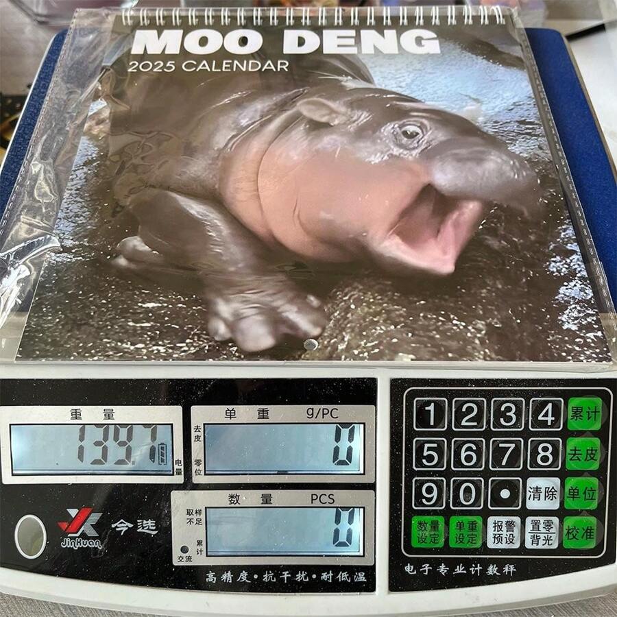 2025 Moo Deng Calendar Stylish Hippo Desk Calendar 8.25*8.25inch SHEIN UK