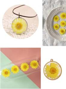 50pcs Natural Dried Daisy Flowers, Vacuum Packed, Embossed For Home Decor, Jewelry Making, Phone Case Decoration (5 Colors) - Multicolor - View 6