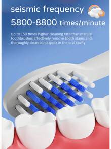 1 Pieza Cepillo de dientes eléctrico recargable/a pilas - a pilas con 1 botón y 1 ajuste de velocidad, recargable con 1 botón y 4 ajustes de velocidad, incluye 6 cabezales de cepillo