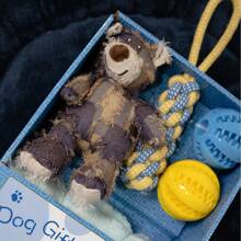 圣诞宠物娃娃套装包括圣诞系列毛毯、毛绒娃娃、自娱自乐声音玩具、厚实咀嚼玩具、绳索拼图玩具、不倒翁玩具、蓝绿组合吸水宠物毯 - 彩色 - 查看 12