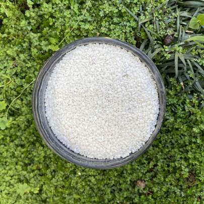 Pedrisco 1kg BRANCO granilha FINO (1-2mm) pedrinhas decorativas para suculentas pedra ornamental para decoraçao de vasos, plantas, Bonsai e cactos