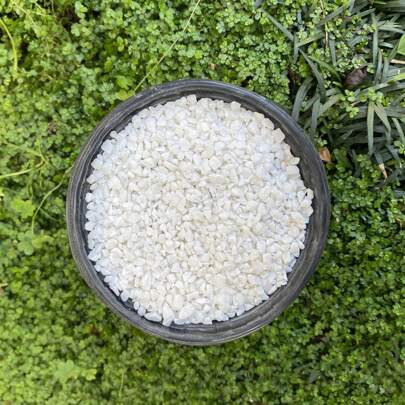 Pedrisco 1kg BRANCO granilha Nº0 (2-5mm) pedrinhas decorativas para suculentas, pedra ornamental para decoraçao de vasos, plantas, Bonsai e cactos