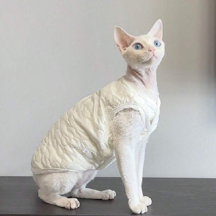 1 双层背心 无毛猫套装 Devins Finks 宠物套装 简约刺绣 春冬新款背心