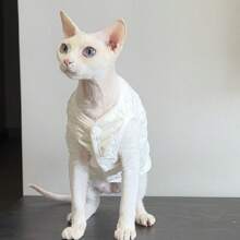 1 双层背心 无毛猫套装 Devins Finks 宠物套装 简约刺绣 春冬新款背心 - 白色 - 查看 5