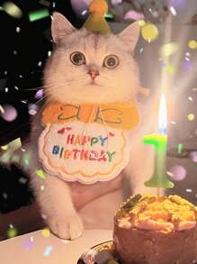 Babadores de aniversário para cães e gatos, decorações para cachecóis de pescoço para animais de estimação, conjunto de acessórios para coleiras de cães pequenos, chapéu de aniversário, fecho aleatório