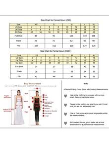闪亮半袖褶裥正式礼服，适合婚礼宾客；A字长款精致蕾丝晚礼服，饰有亮片和手工串珠贴花；优雅的新娘母亲礼服，伴娘礼服；正式晚礼服，后背拉链；舞会礼服；适合婚礼宾客、毕业典礼、晚宴、情人节等场合。 - 藕粉色 - 查看 3