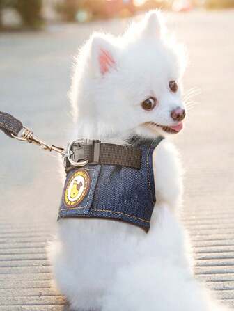 1pc Jean Harness Set With Simple Stamp & High-End Decoration For Cats And Dogs, Suitable For Spring And Summer Seasons