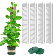 Tutor de plantas de 24 pulgadas/36 pulgadas/48 pulgadas hecho de plástico con musgo para plantas trepadoras de interior, como Monstera. Accesorio de soporte para el crecimiento de plantas, forma de D grande