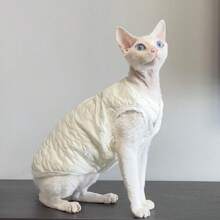 1 双层背心 无毛猫套装 Devins Finks 宠物套装 简约刺绣 春冬新款背心 - 白色 - 查看 9