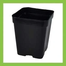 Square Vase 200ml – Perfect For Small Plants And Floral Arrangements At Home, Office And Balcony With Resistant Material" - 20 單位 - 查看 4