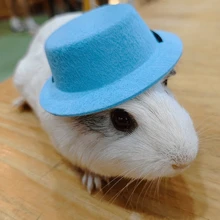 1pc Adjustable Funny Cosplay Santa Hat, Halloween Party Hat, Rabbit/Guinea Pig/Hedgehog Design Hats