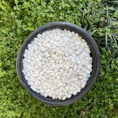 Pedrisco 1kg BRANCO granilha Nº1 (5-6,5mm) pedrinhas decorativas de vasos, plantas, Bonsai e cactos, pedra ornamental para decoraçao suculentas