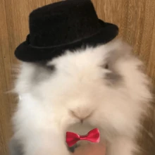 1pc Adjustable Funny Cosplay Santa Hat, Halloween Party Hat, Rabbit/Guinea Pig/Hedgehog Design Hats