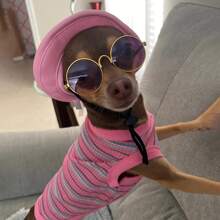 Thin Colorful Striped Casual Vest For Pets, Suitable For Small Dogs Like Chihuahua, Pomeranian And Teddy, Summer