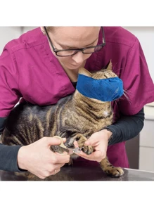 Museruola regolabile per gatti, mascherina per gli occhi - in rete traspirante, per prevenire morsi e masticazione, ideale per toelettatura e bagno