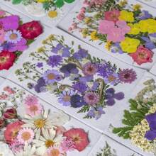 35pcs Dried Pressed Flowers For Resin Molds, Real Pressed Flowers Dry Leaves Kit For Art Crafts Resin Jewelry Making Scrapbook Supplies Card Making Soap Candle DIY Nails Decor| Valentine Day's Gift| Couple Gift| Christmas Gift Xmas Gift| Halloween Gift Decor
