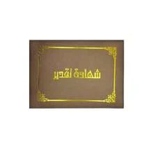 Premium A4 Foil Embossed Certificate, Honor Certification, Appointment Letter, Cover For Training, Employee Awards, Qualification Diploma Back To School