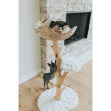 Wooden Cat Climbing Tree Tower, Modern Single Branch Cat Condo, Wood, Cat Lover Furniture Gift - Cotton White - View 6