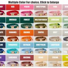 Customized: Luxury Velvet Sky Blue Personalized Cat Collar Bow Tie Leash Set, Customized Cat/Dog Name Tag, Comes With Golden Bell, Pet Engraved Gift - Multicolor - View 3