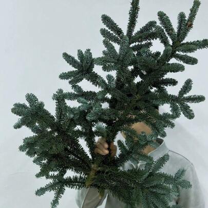 Long-Lasting Preserved Nordic Pine Branches, Handmade DIY Tree Decorations, Suitable For Wedding Decor, Valentine's Day, Chinese New Year, Decorations, Real Flower Decoration Materials E-I-D,Fake Plants Home Decor Christmas Decorations Room Decor Christmas