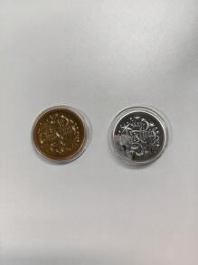 1 件圣诞纪念币套装 - 节日礼物装饰品、节日纪念品、圣诞袜礼物 - 带有圣诞老人雪橇设计的幸运挑战币，适合所有年龄段，圣诞礼物 - 彩色 - 查看 8