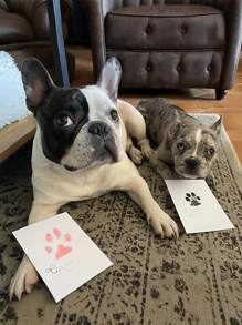 Pet Paw Print Ink Pad For Dogs And Cats, Touchless Ink Pad Pet Footprint Pad For Memorial Supplies.