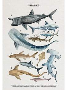 1 件鲸鱼和鲨鱼贝壳海龟章鱼鱼海洋生物海洋动物海报帆布画墙壁艺术图片家居装饰无框架 - 彩色 - 查看 27