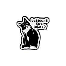 LGBT Humor Quote Pride Cute Enamel Pins Women's Brooches Men Lapel Pins Black Cat Badge Costume Accessories Funny Jewelry Gifts