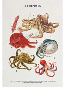 1 件鲸鱼和鲨鱼贝壳海龟章鱼鱼海洋生物海洋动物海报帆布画墙壁艺术图片家居装饰无框架 - 彩色 - 查看 8