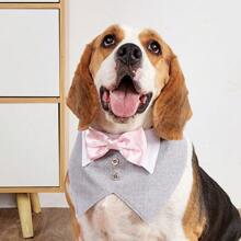 1 件宠物方形围巾，英式婚礼套装宠物围兜带钩环，狗三角围巾，适合婚礼派对装 - 彩色 - 查看 3