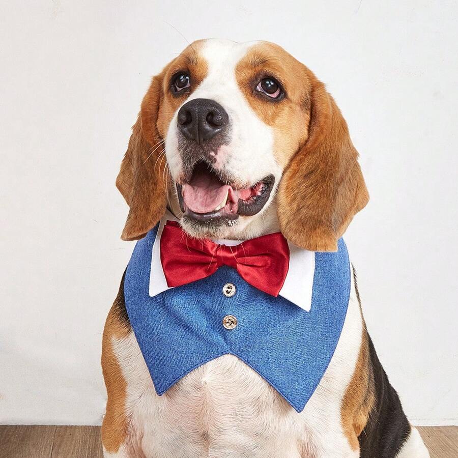 1 件宠物方形围巾，英式婚礼套装宠物围兜带钩环，狗三角围巾，适合婚礼派对装 - 彩色 - 查看 1