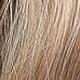 Light Brown with Blonde Highlights